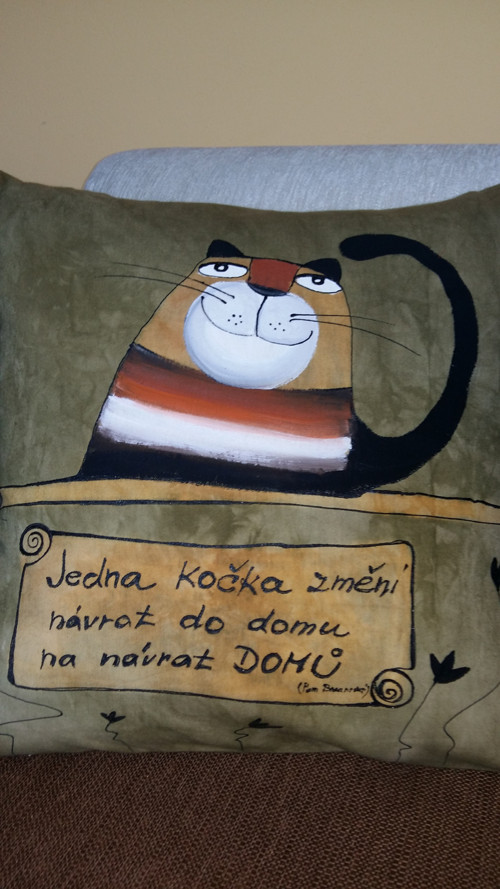 Polštář kočičí — foto 2