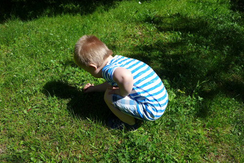 Triko Námořník - modré — foto 3