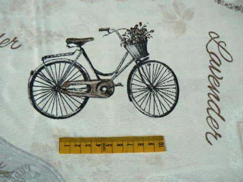 Bicykl a levandule — foto 2