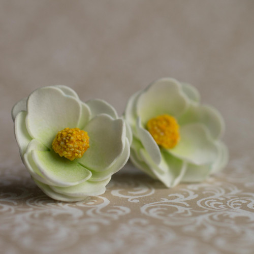 Květinová ouška 62. — foto 2