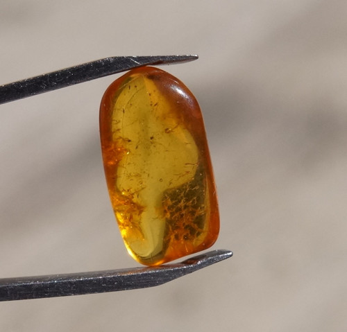 Jantar ( 16 mm) - D9127 — foto 2