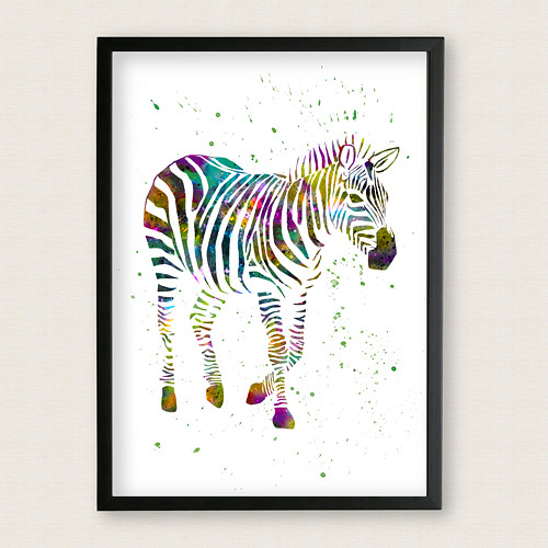 Zebra - Tisk na grafický papír — foto 3