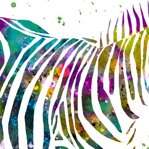 Zebra - Tisk na grafický papír — foto 5
