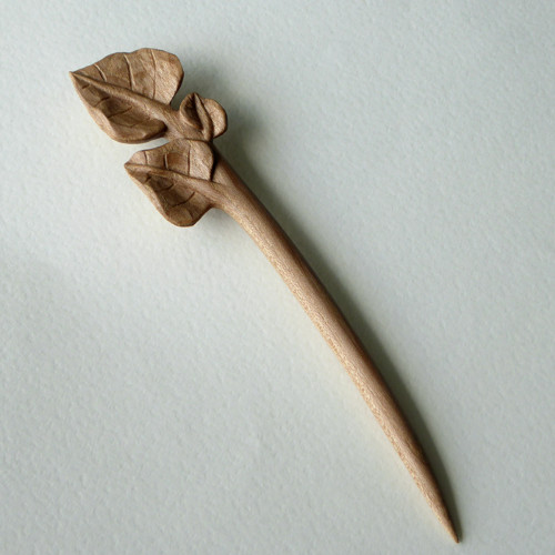 Jilmové listí — foto 2