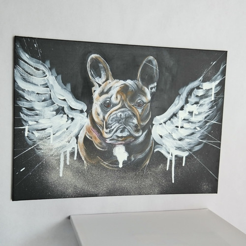 Franděl na přání.... neon obraz — foto 3