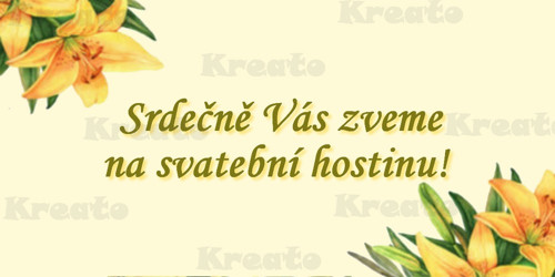 Svatební oznámení No.16 — foto 3