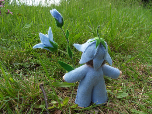Zvonkový skřítek — foto 3