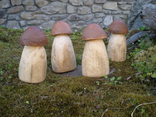 Praváci - baculáci — foto 2