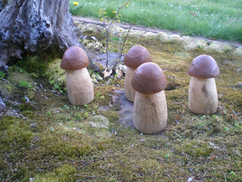 Praváci - baculáci — foto 3
