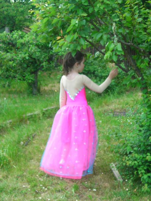 Dres — foto 4