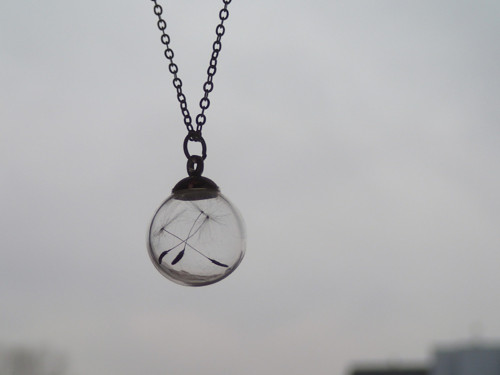 Make a Wish — foto 4