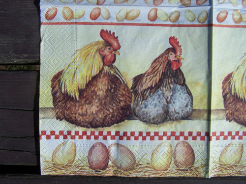Slepičky — foto 2