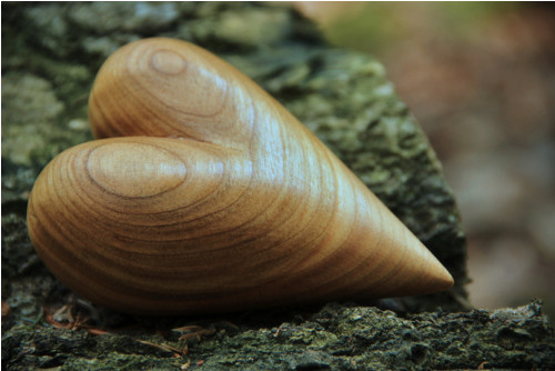 Třešňové dlachňadlo — foto 4