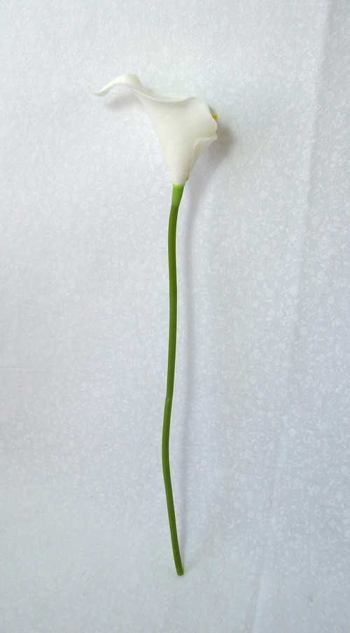 Kala smetanově bílá — foto 2