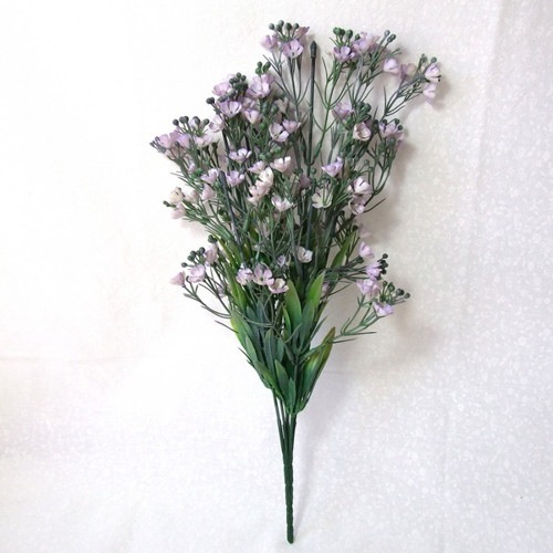 Řeřišnice tmavě fialová — foto 2