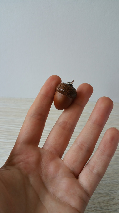 Žalud přírodní — foto 2