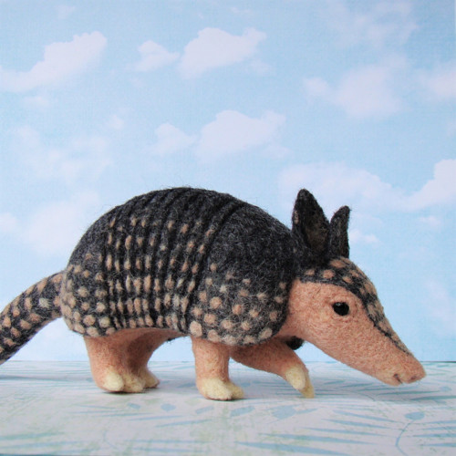 Armadillo - Pásovec devítipásý — foto 2