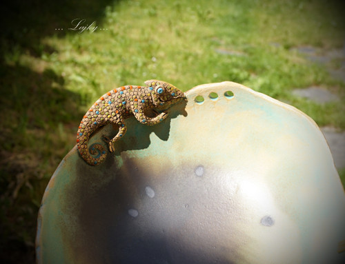 Chameleon na procházce — foto 2