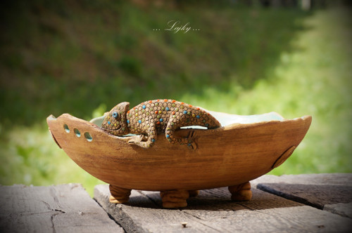 Chameleon na procházce — foto 3