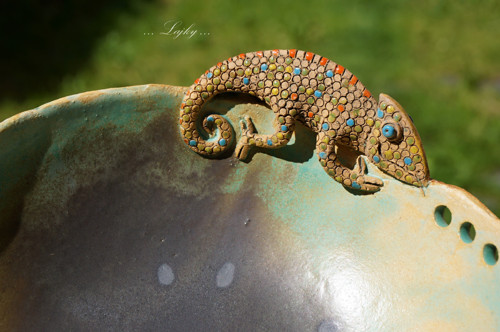 Chameleon na procházce — foto 4