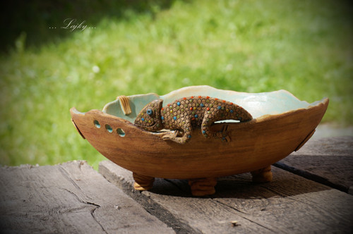Chameleon na procházce — foto 5