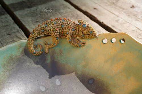 Chameleon na procházce — foto 6