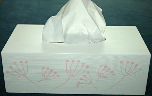 Box na papírové kapesníky — foto 2
