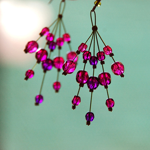 Fuchsijové — foto 2