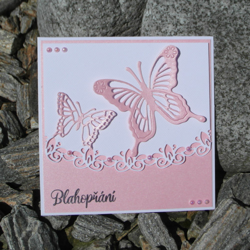 Blahopřání na motýlí variace 5 — foto 3