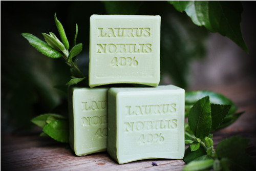 Laurus Nobilis 40% — foto 2