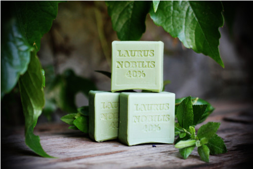 Laurus Nobilis 40% — foto 3
