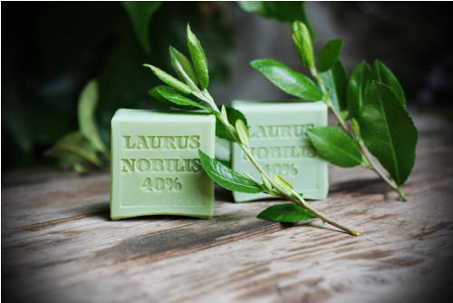 Laurus Nobilis 40% — foto 4