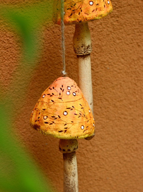 Houbičky — foto 4