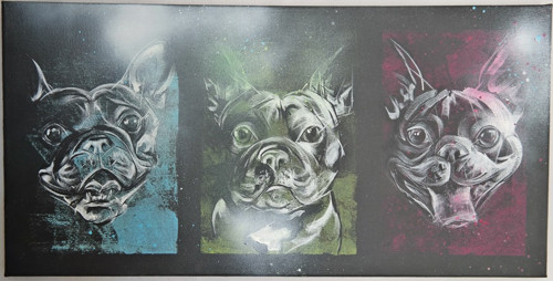 Frenchie 3x jinak....obraz — foto 2