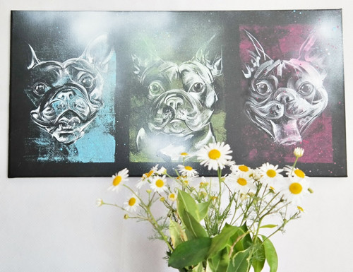 Frenchie 3x jinak....obraz — foto 5