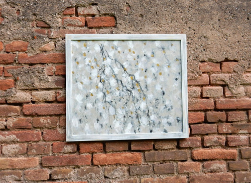 Kořínky — foto 2