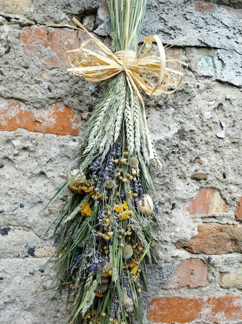 Přírodní, letní — foto 2