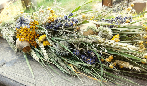 Přírodní, letní — foto 3