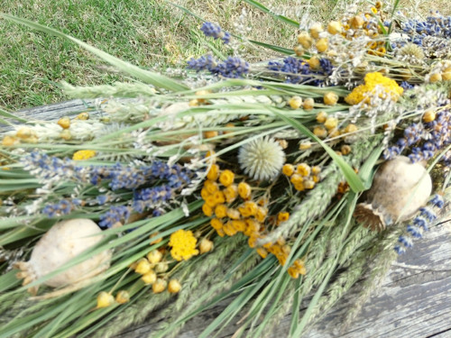 Přírodní, letní — foto 5