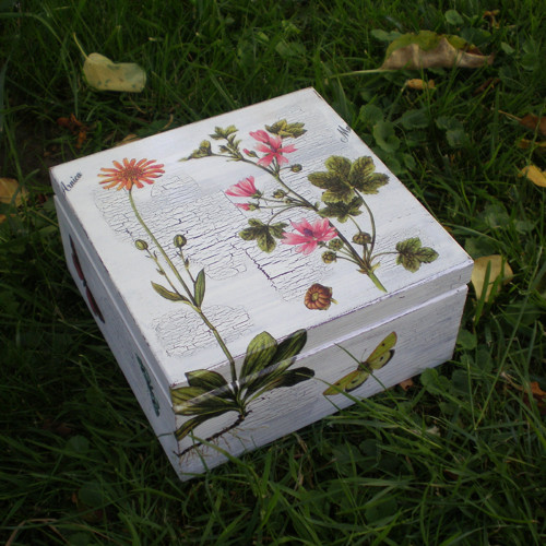 Botanikova záležitost — foto 3