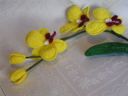 Větvička orchideje - žlutá — foto 2