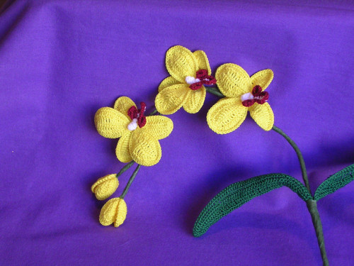 Větvička orchideje - žlutá — foto 3