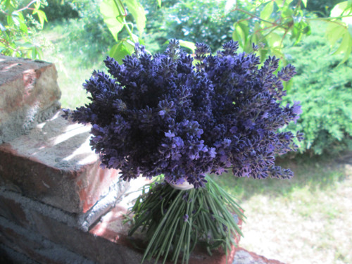 Levandulová,samostojící — foto 3