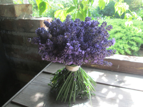 Levandulová,samostojící — foto 5