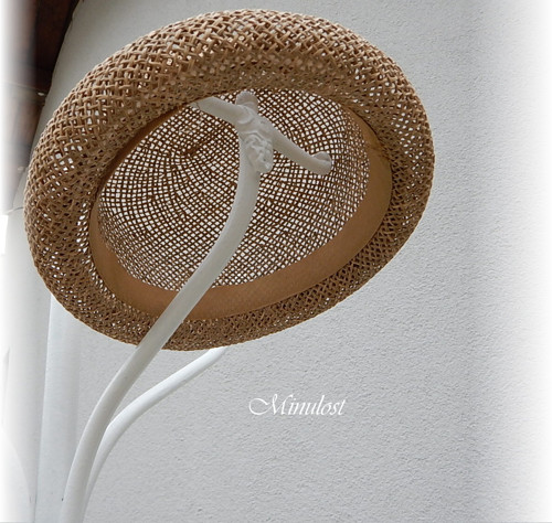 Slunce pálí — foto 4