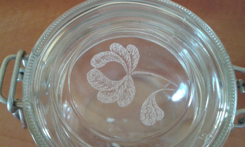 Cibule — foto 2