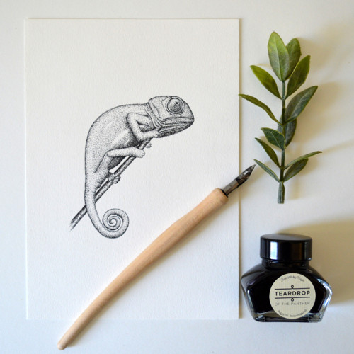 Chameleon - originál — foto 2