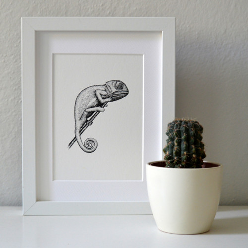 Chameleon - originál — foto 3