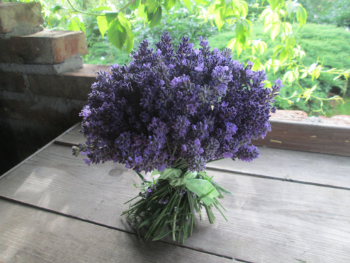 Levandulová samostojící — foto 2