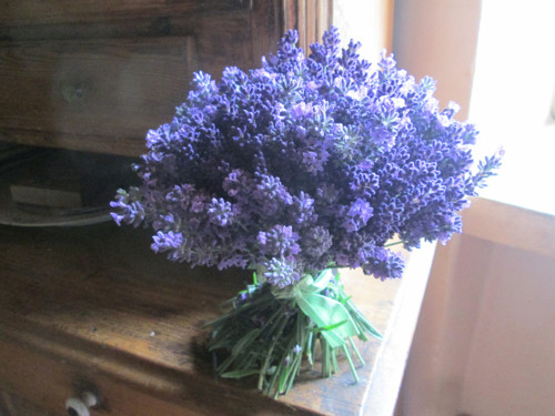 Levandulová samostojící — foto 3